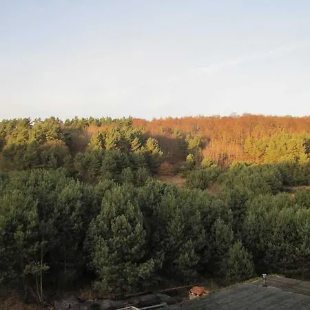 Se-lf Apartament *